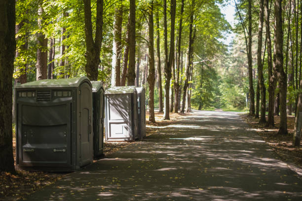 Best Storm Damage Tree Cleanup  in Connelly Springs, NC